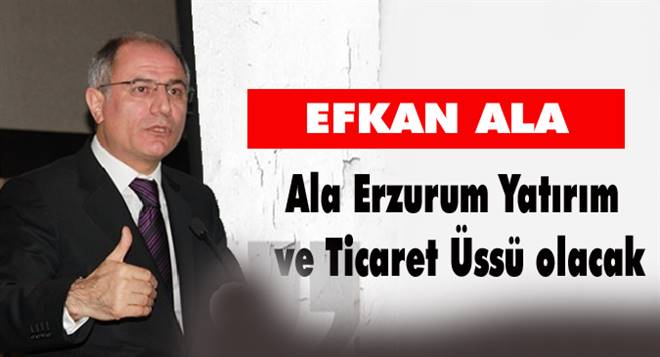 Efkan Ala Seçim çalışmalarını sürdürüyor