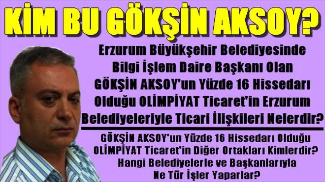 Gökşin Aksoy Kim?