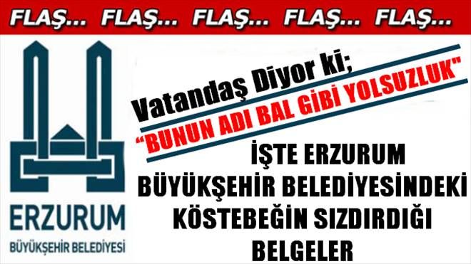 Vatandaş Diyor ki; ?BUNUN ADI BAL GİBİ YOLSUZLUK? 