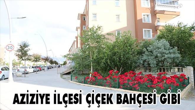 Aziziye ilçesi çiçek bahçesi gibi