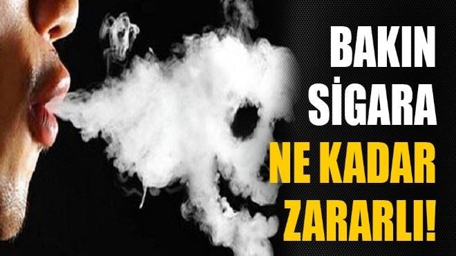 Bakın sigara ne kadar zararlı!