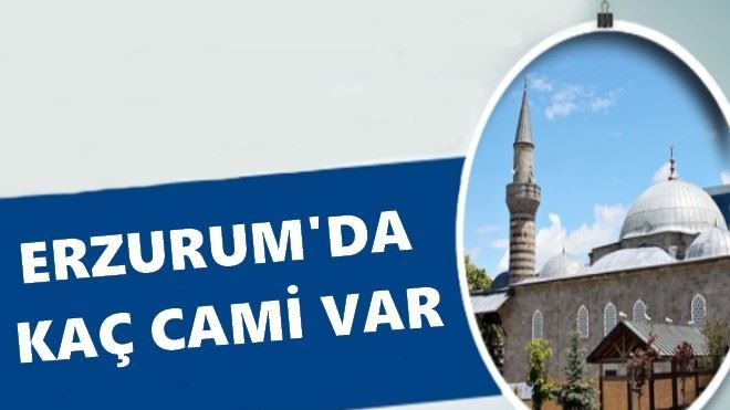 Erzurum Büyükşehirler içinde 14´üncü sırada