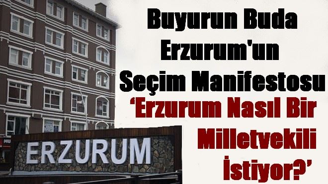 ?Erzurum Nasıl Bir Milletvekili İstiyor?´ 