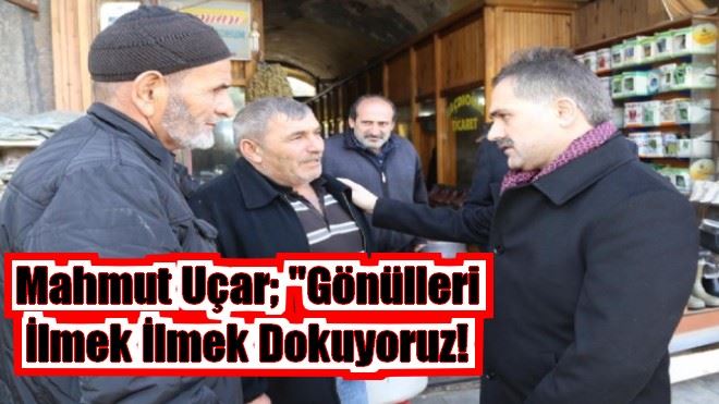 Mahmut Uçar; 