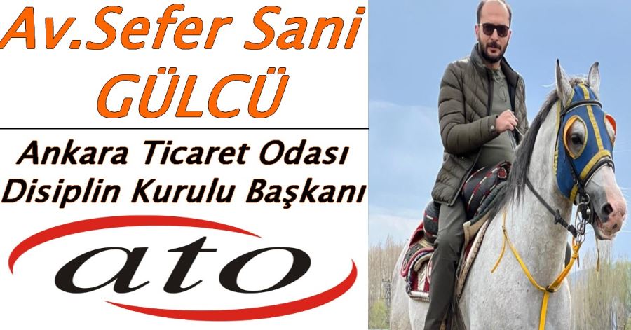 Sefer Sani GÜLCÜ