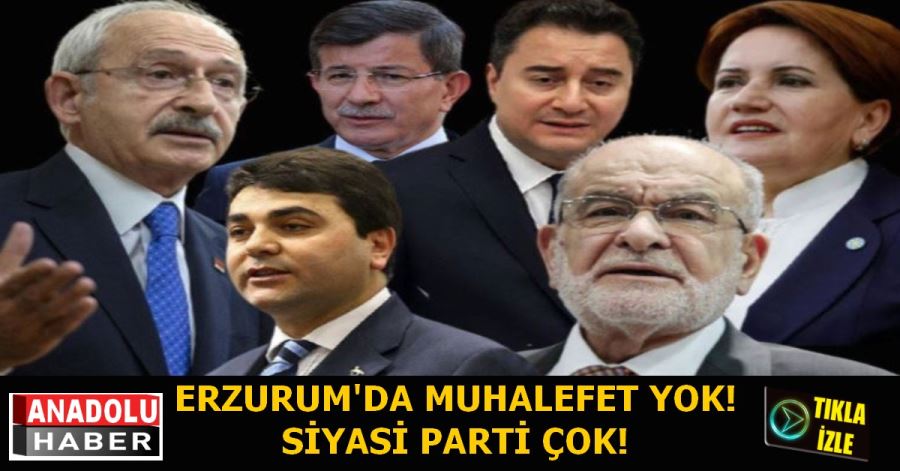 Muhalefet yok