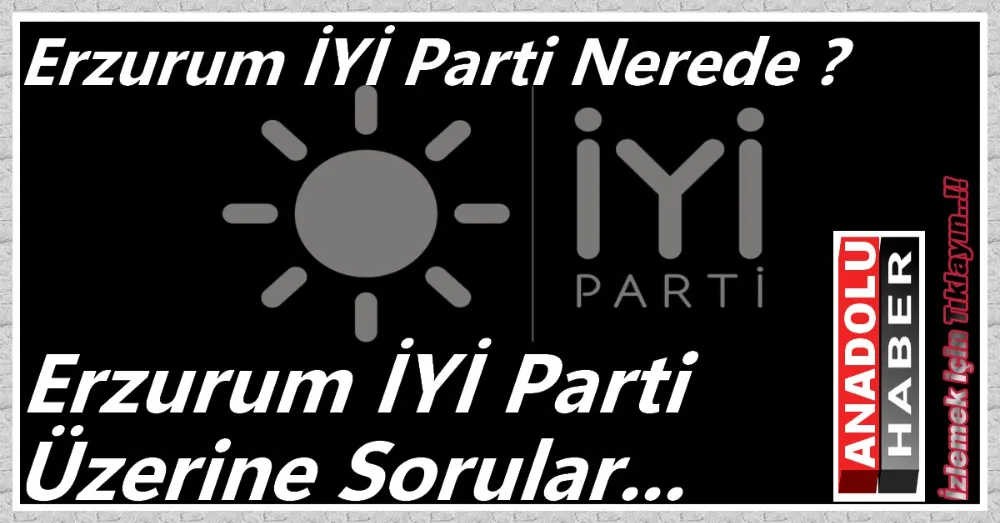 iyi parti