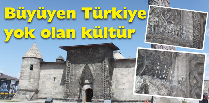Kuş konmaması için çiviler çakıldı