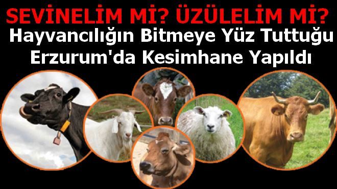 Sevinelim mi Üzülelim mi?