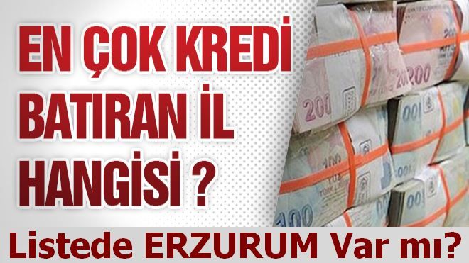 En Çok Kredi Batıran İller