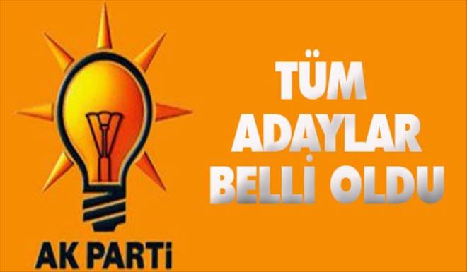 Tüm adaylar belli oldu: