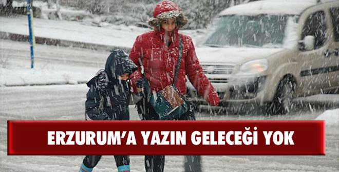 Yazın geleceği yok
