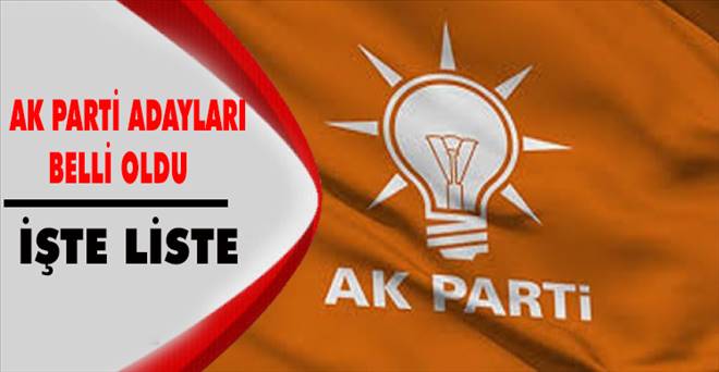 İşte Ak Parti Erzurum Milletvekili Adayları