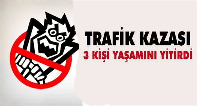 Erzurum`da trafik kazası 