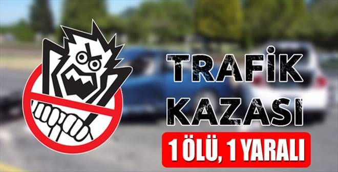 trafik kazası: 1 ölü, 1 yaralı