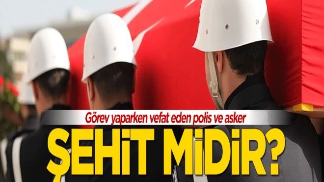 Görevini yaparken ölen asker ve polis şehit midir?