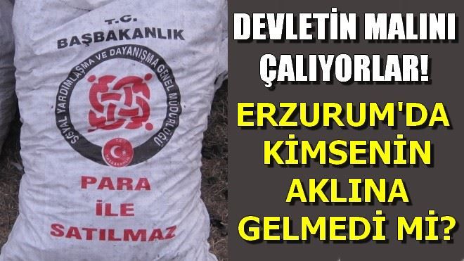 DEVLETİN MALINI ÇALIYORLAR