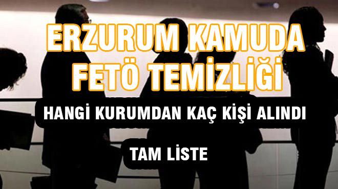 ERZURUM´DA FETÖ OPERASYONLARININ BİLANÇOSU