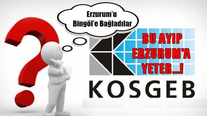 BU AYIP ERZURUM´A YETER