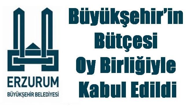 Büyükşehir´in bütçesi oy birliğiyle kabul edildi