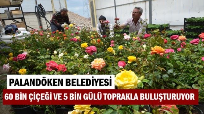 PALANDÖKEN BELEDİYESİ 60 BİN ÇİÇEĞİ VE 5 BİN GÜLÜ TOPRAKLA BULUŞTURUYOR