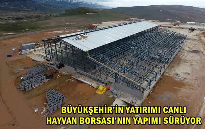 BÜYÜKŞEHİR´İN YATIRIMI CANLI HAYVAN BORSASI´NIN YAPIMI SÜRÜYOR