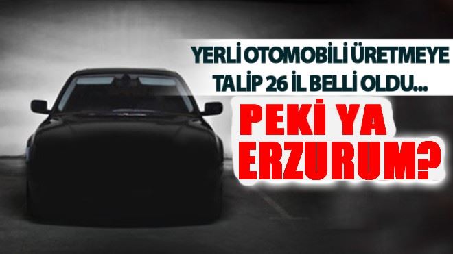 Yerli otomobili üretmeye talip 26 il belli oldu