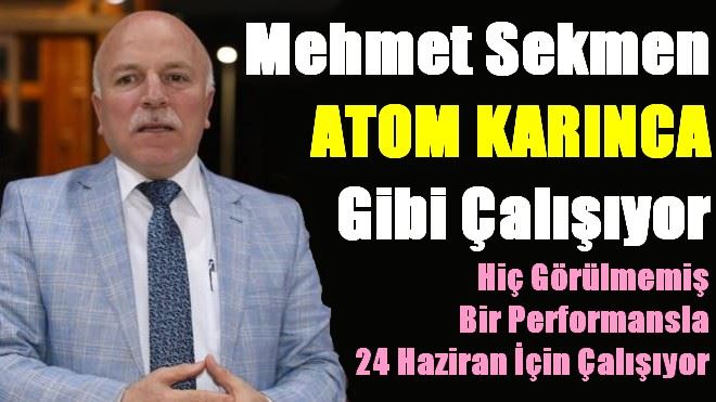 MEHMET SEKMEN ATOM KARINCA GİBİ