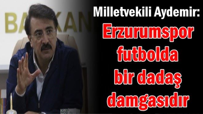 Milletvekili Aydemir: 