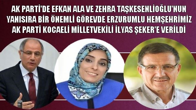 ERZURUMLU KOCAELİ MİLLETVEKİLİ İLYAS ŞEKER´E ÖNEMLİ GÖREV