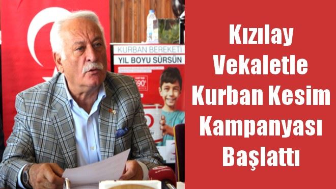 Kızılay Vekaletle Kurban Kesim Kampanyası Başlattı