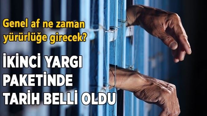 Genel af ne zaman yürürlüğe girecek?