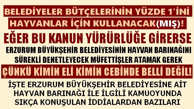 Belediyeler Bütçelerinin Yüzde 1´ini Hayvanlar İçin Kullanacak(mış)