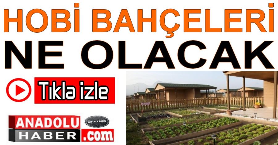 HOBİ BAHÇELERİ 