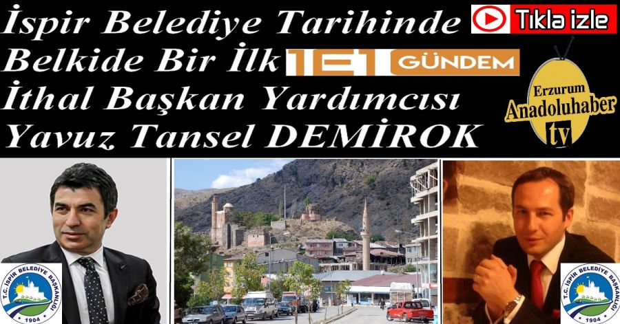 Yavuz Tansel DEMİROK