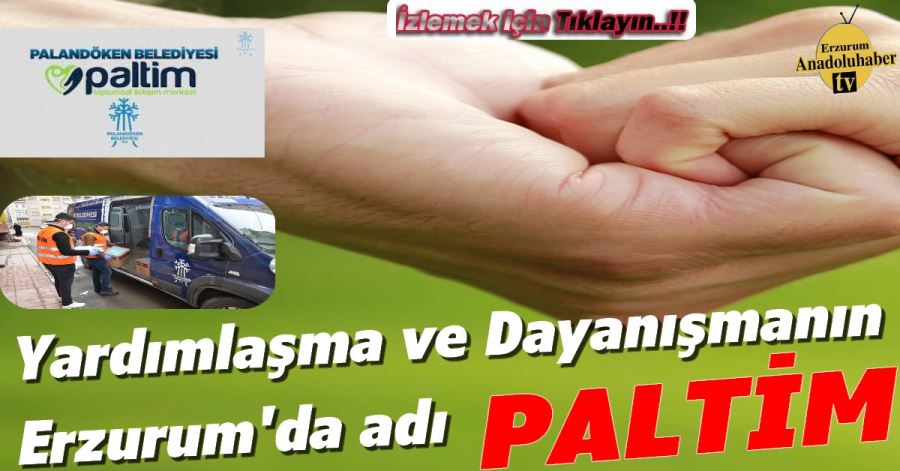 PALTİM