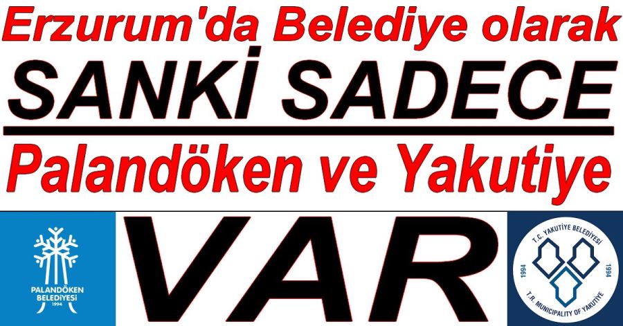 Sanki 