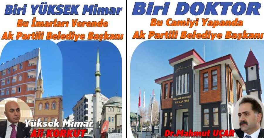 Biri Doktor Biri Mimar